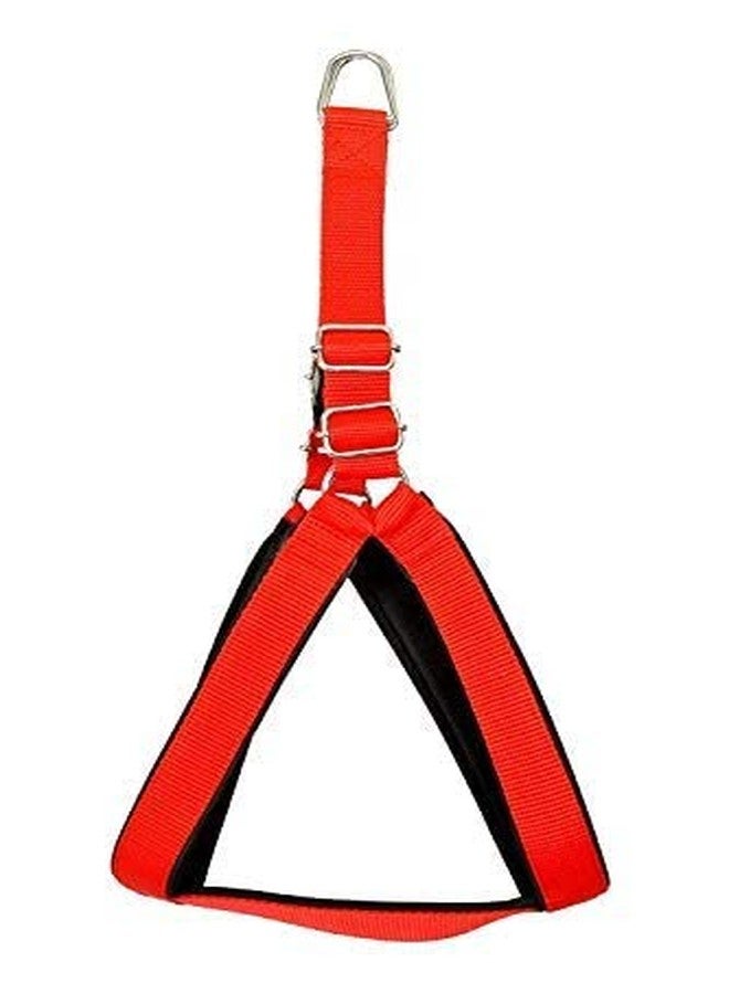 Pups&Pets حزام صدر للكلاب من النايلون المبطن والقابل للتعديل من Pups&Pets مقاس 1.25 بوصة مع حبل مقود 12 مم للكلاب الكبيرة (أحمر) - Image 2